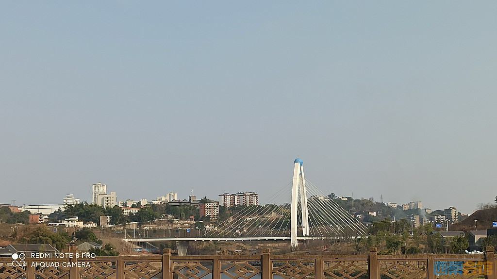 61.jpg
