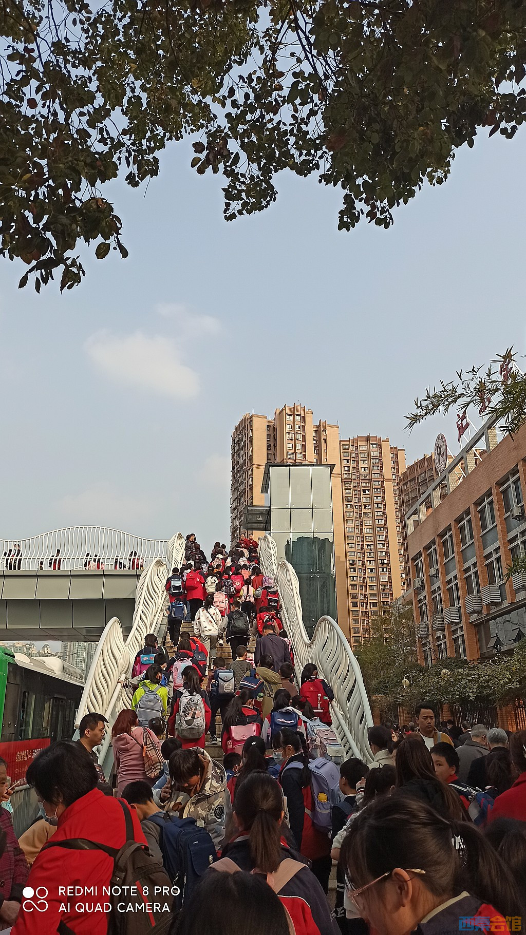 conew_1677577529070.jpg