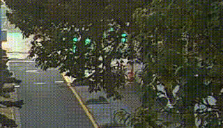 6.gif