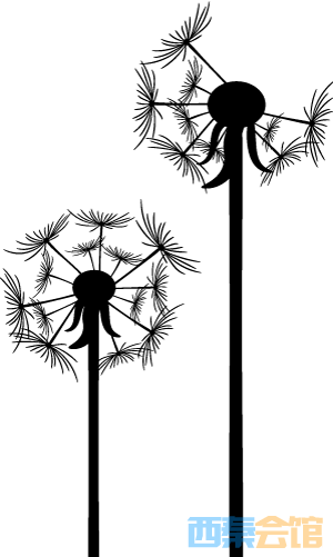 20.png