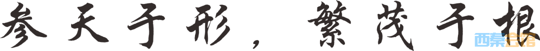 23.png