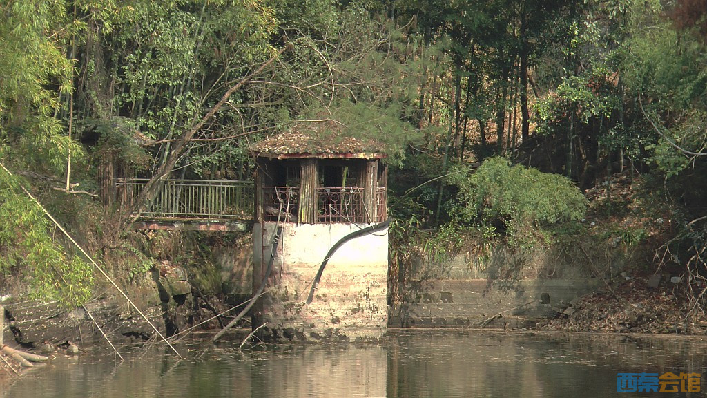 conew_s1570606.jpg