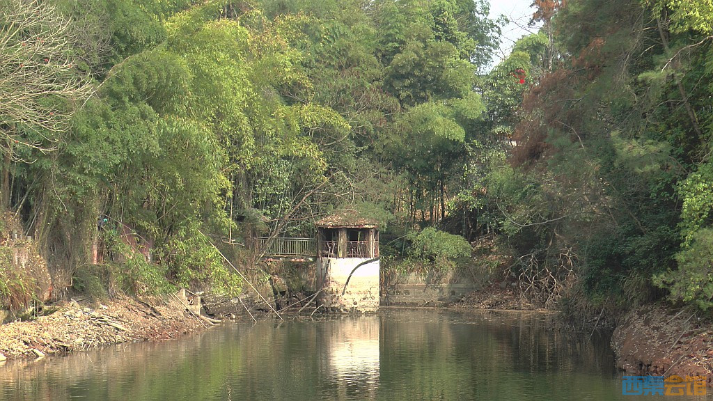 conew_s1570605.jpg