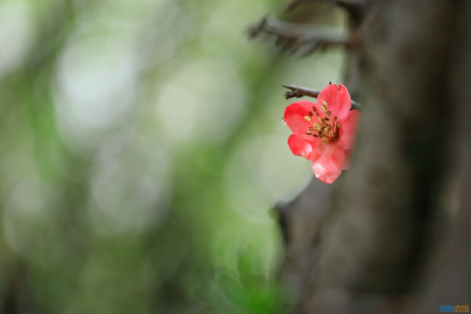 4S4A00294ywreyrty567847.jpg