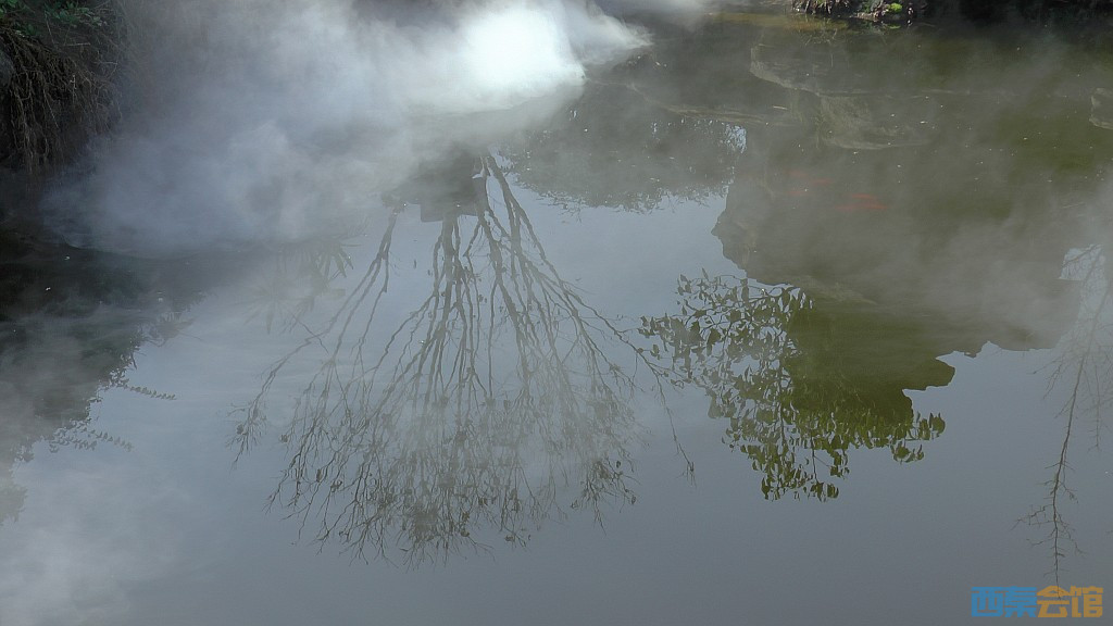 conew_s1570533.jpg