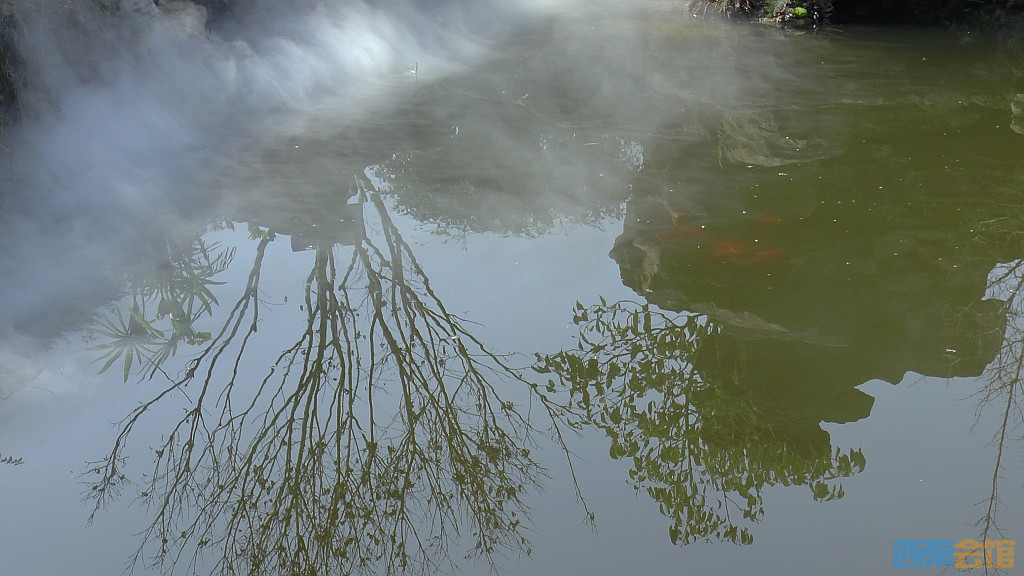 conew_s1570537.jpg