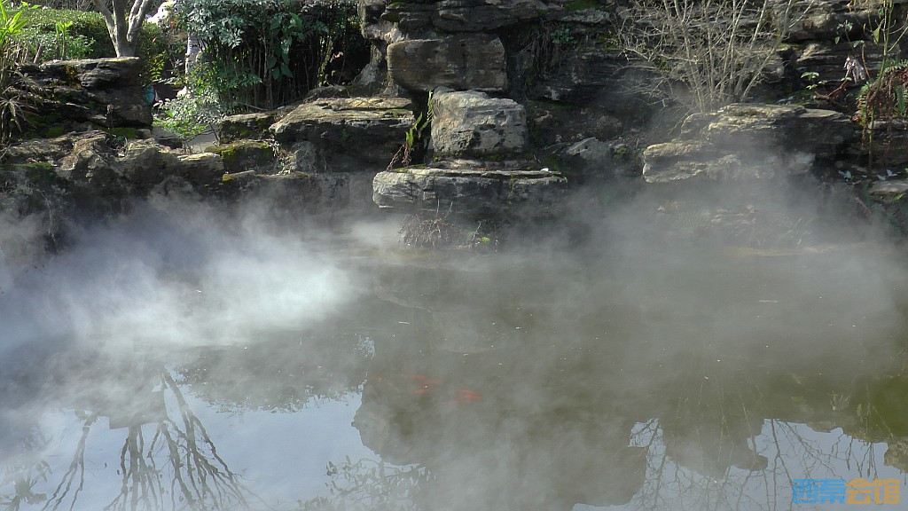 conew_s1570532.jpg