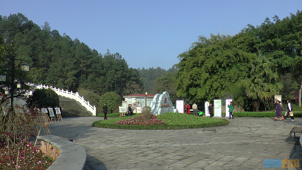39.jpg