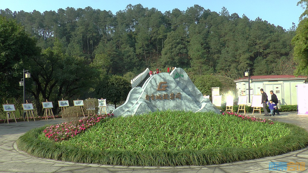 38.jpg