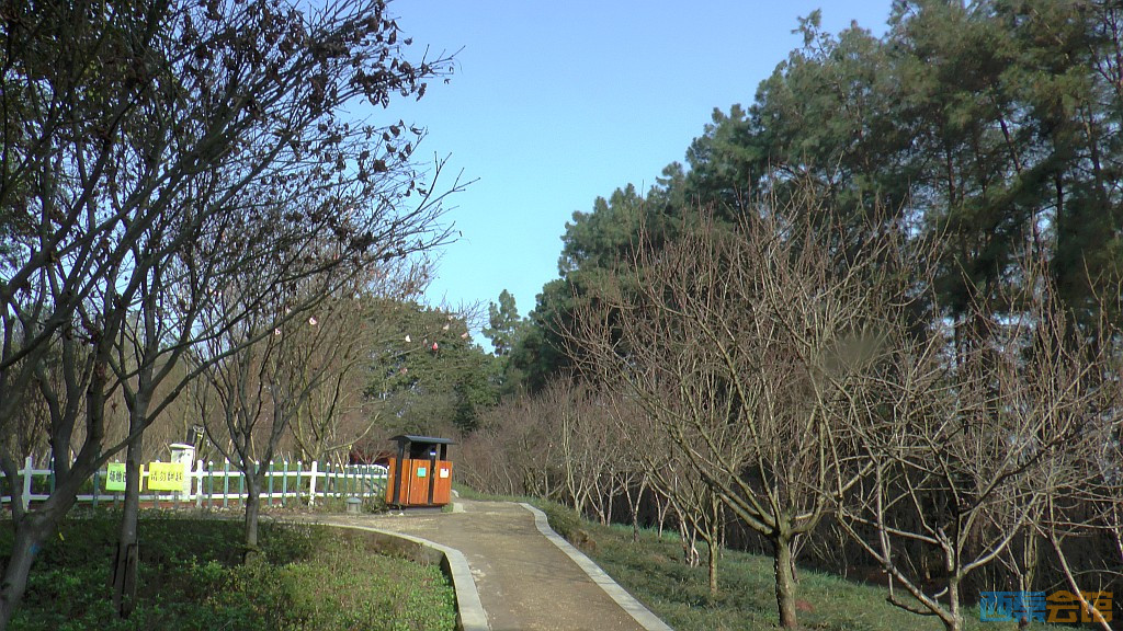 64.jpg