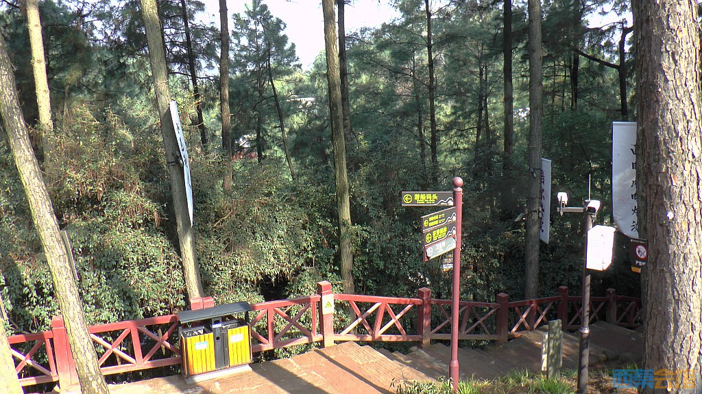 67.jpg
