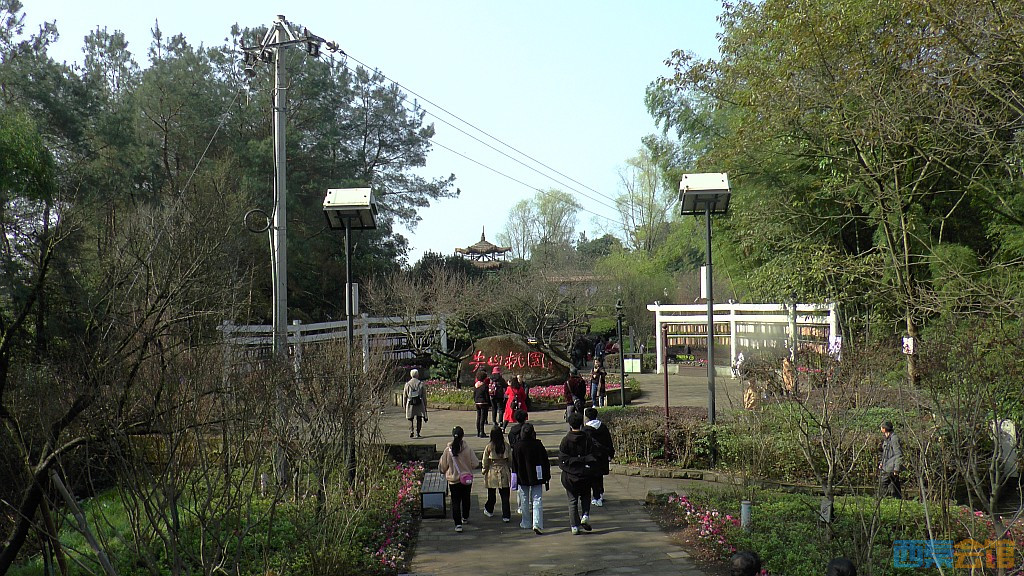 74.jpg