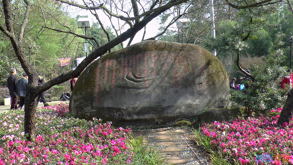 79.jpg