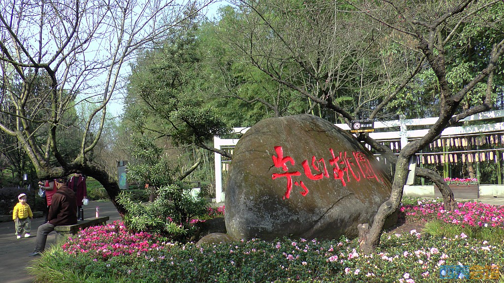 78.jpg