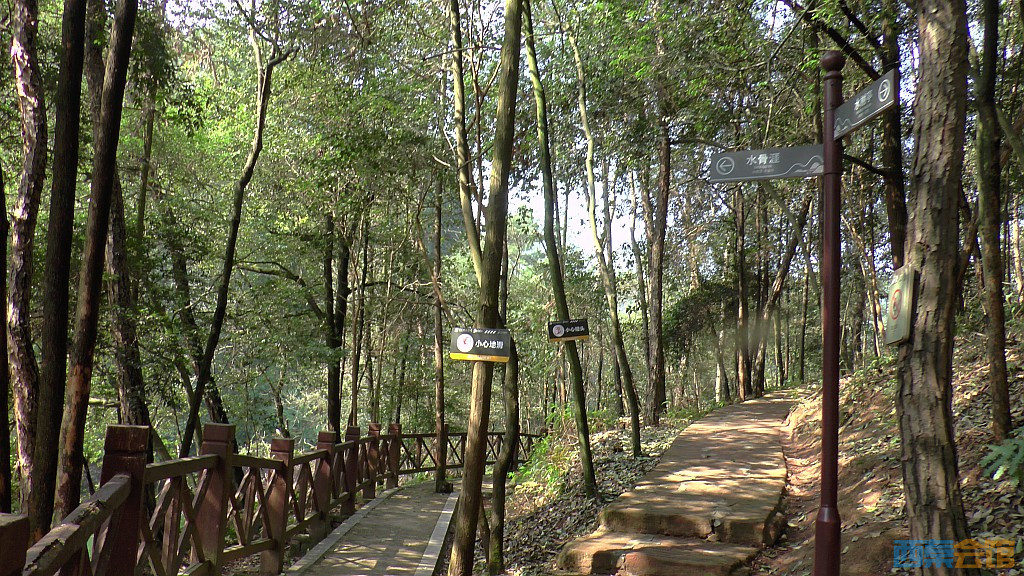 106.jpg