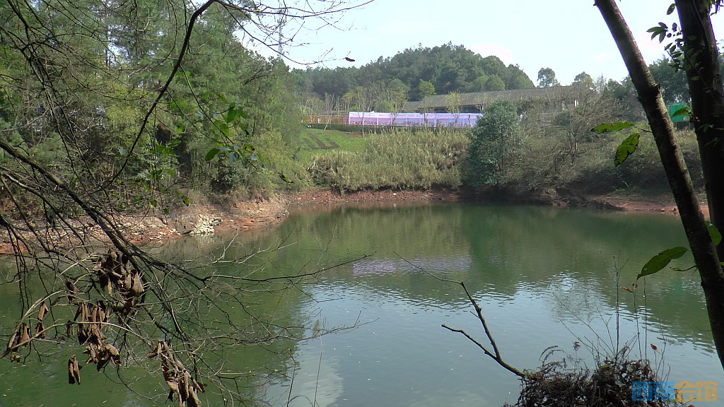145.jpg