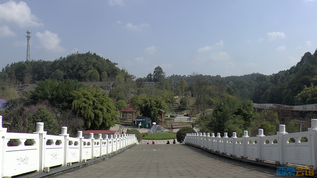 153.jpg