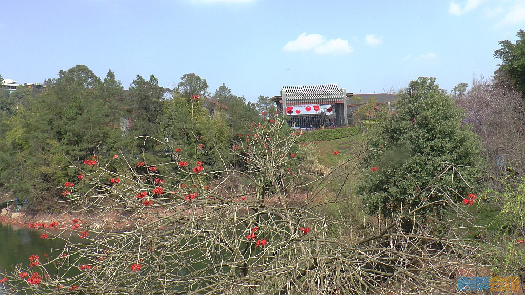 156.jpg