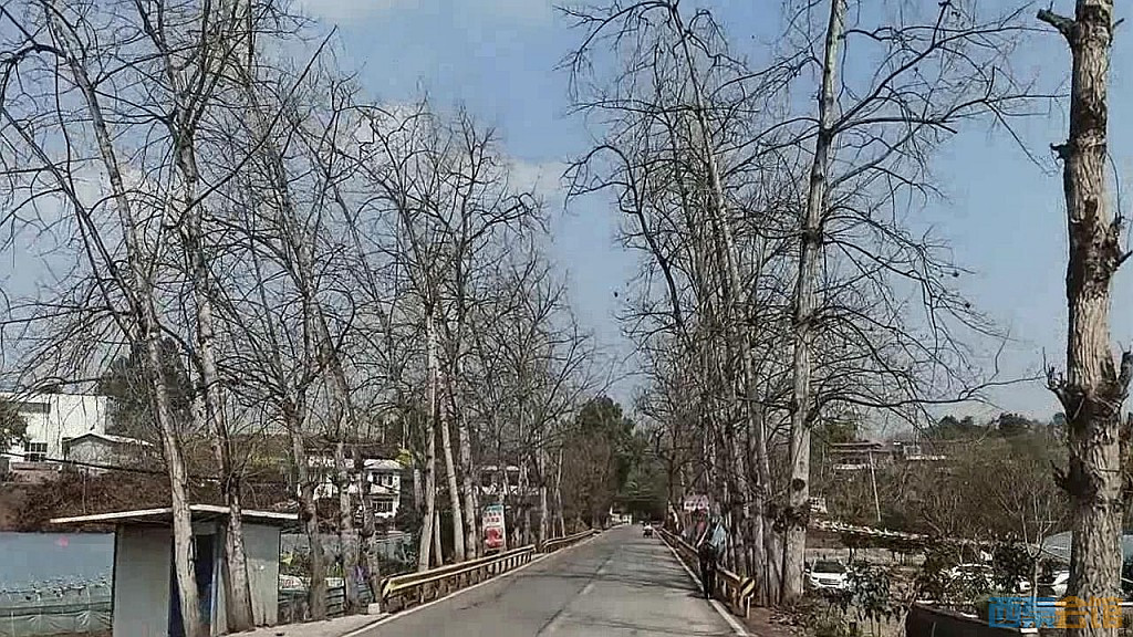 165.jpg