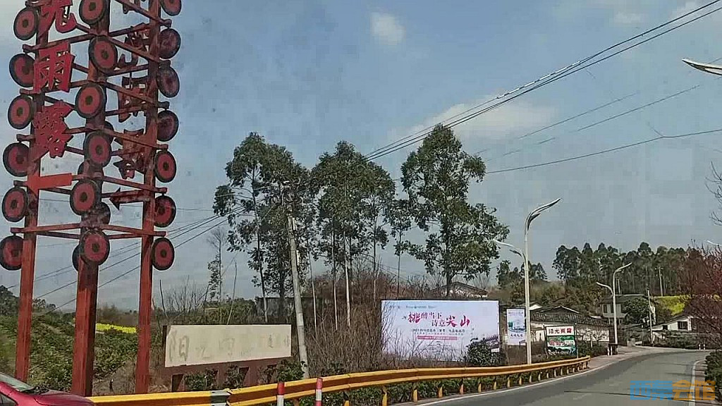 164.jpg