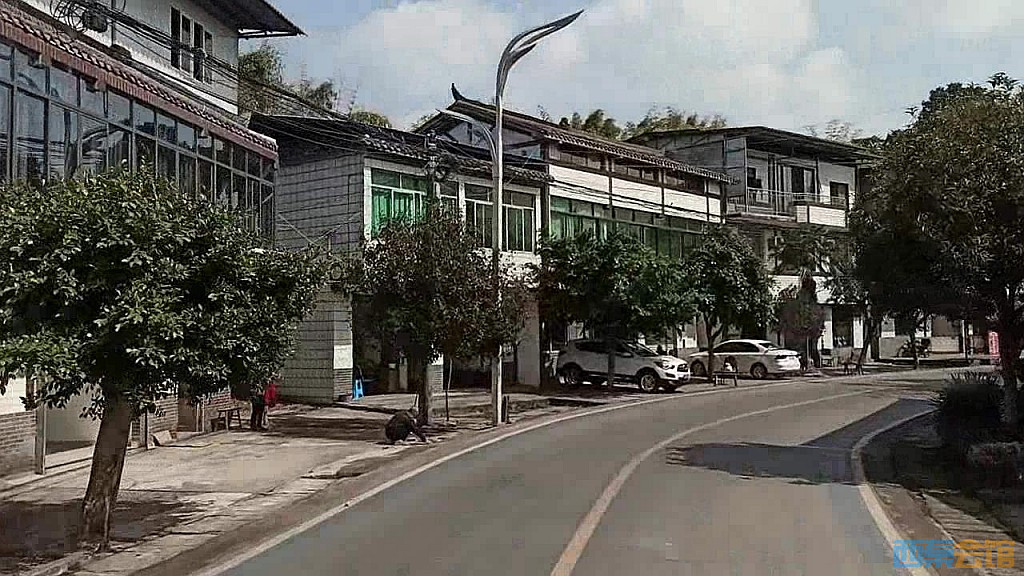 162.jpg