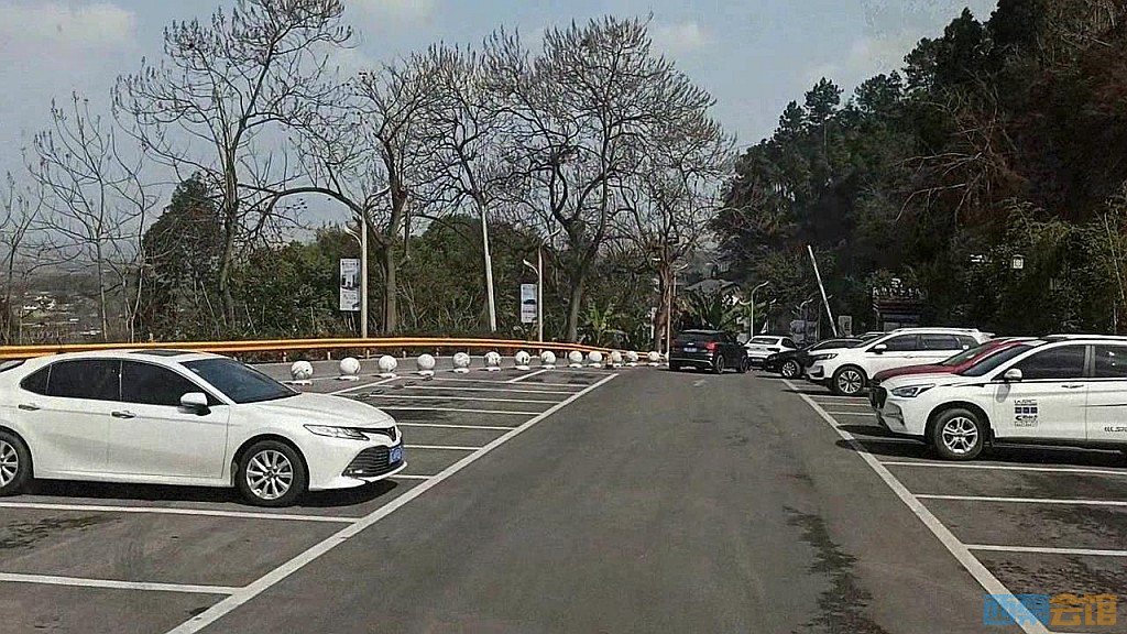 161.jpg