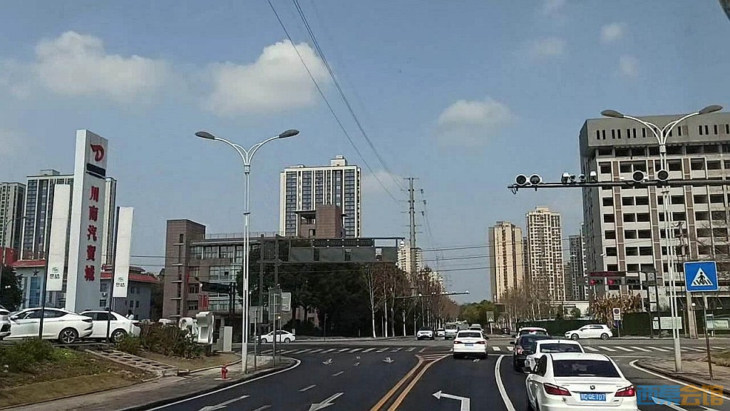 175.jpg