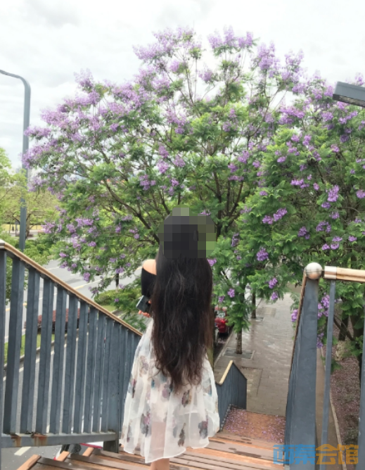 ΢�Ž�ͼ_20230307175301.png