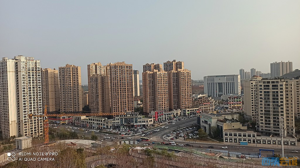 conew_1678279722572.jpg