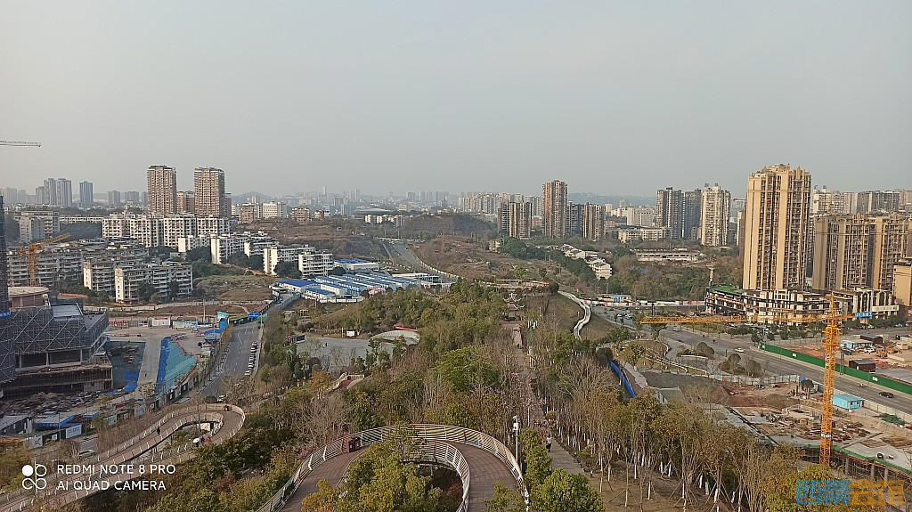 conew_1678279722605.jpg