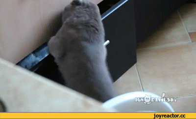20230310150315front2_0_332895_lqU5OEg2UovJeyPQbeg9NgYlZfUq.gif