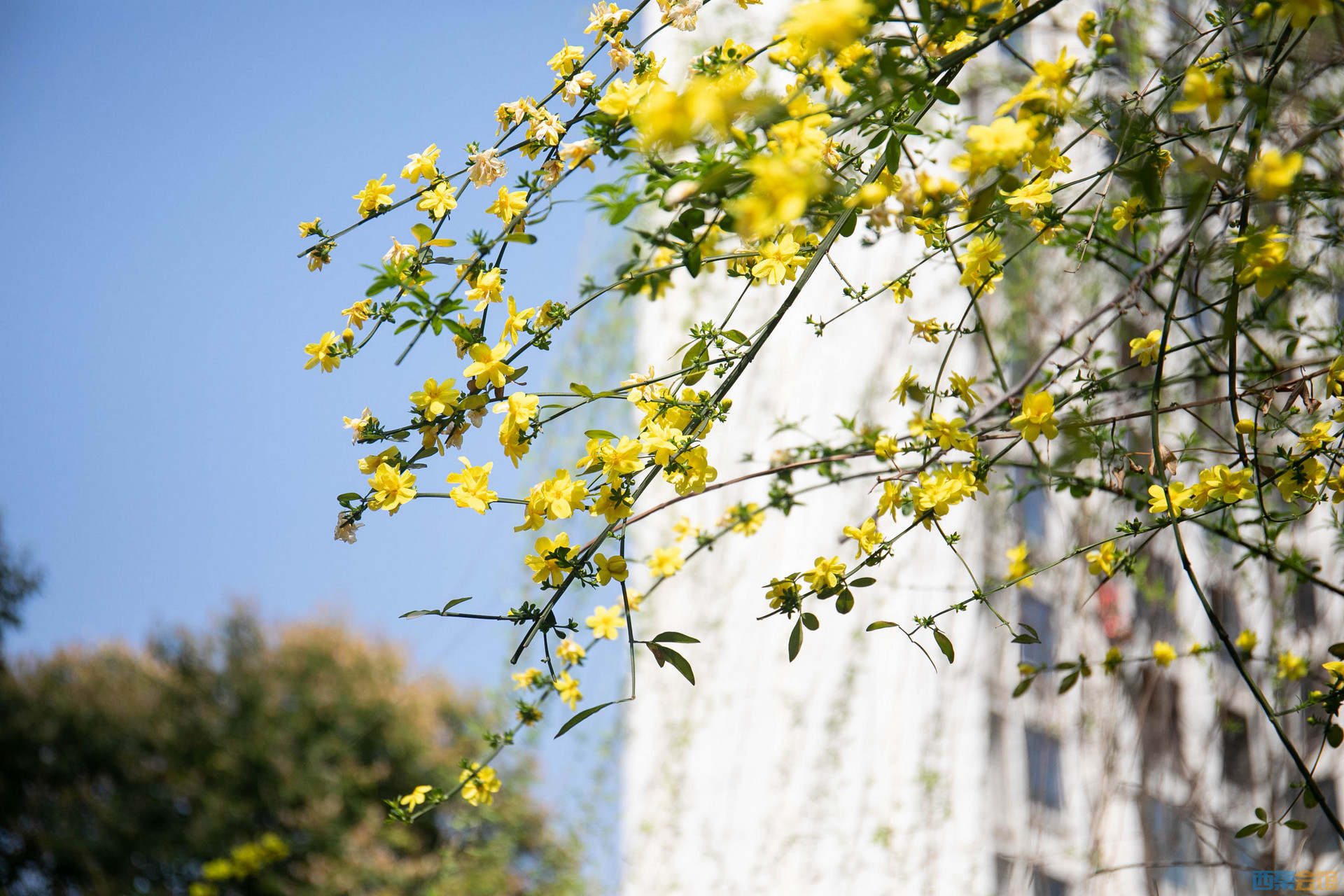 EQ8A6926.jpg