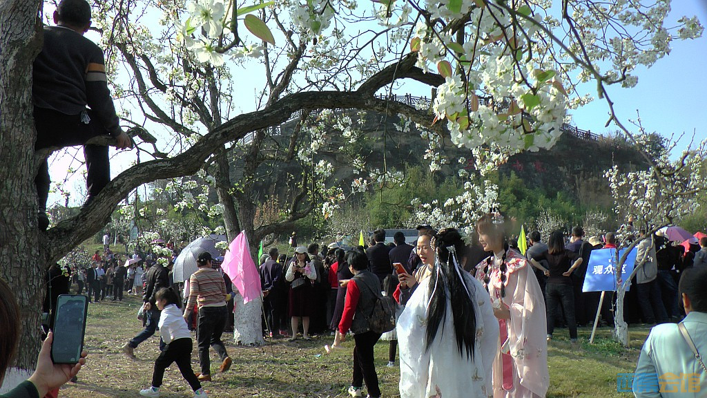 conew_s1570698.jpg