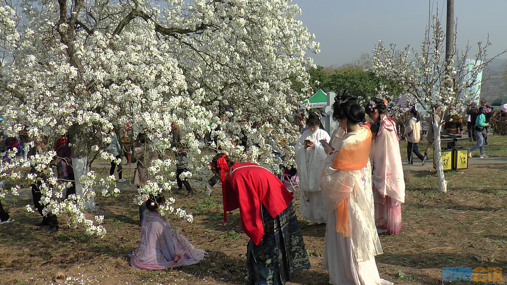 conew_s1570704.jpg