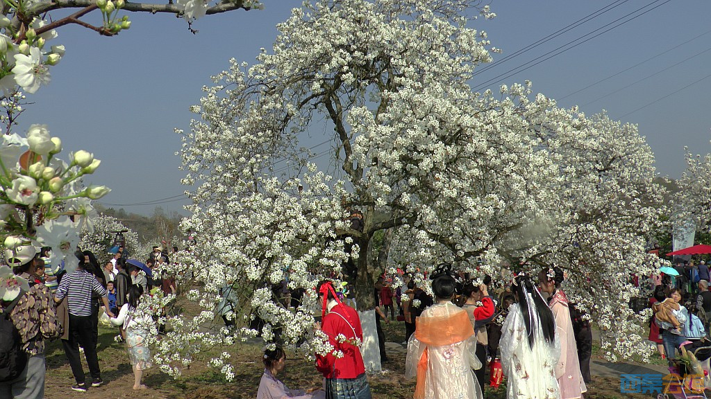 conew_s1570702.jpg