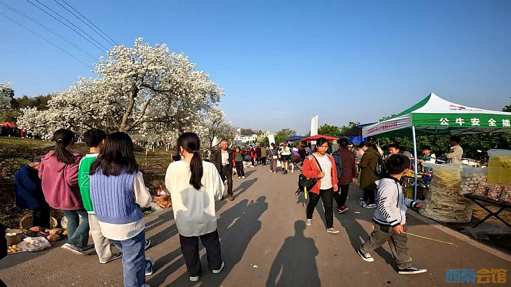 conew_snapshot(337).jpg