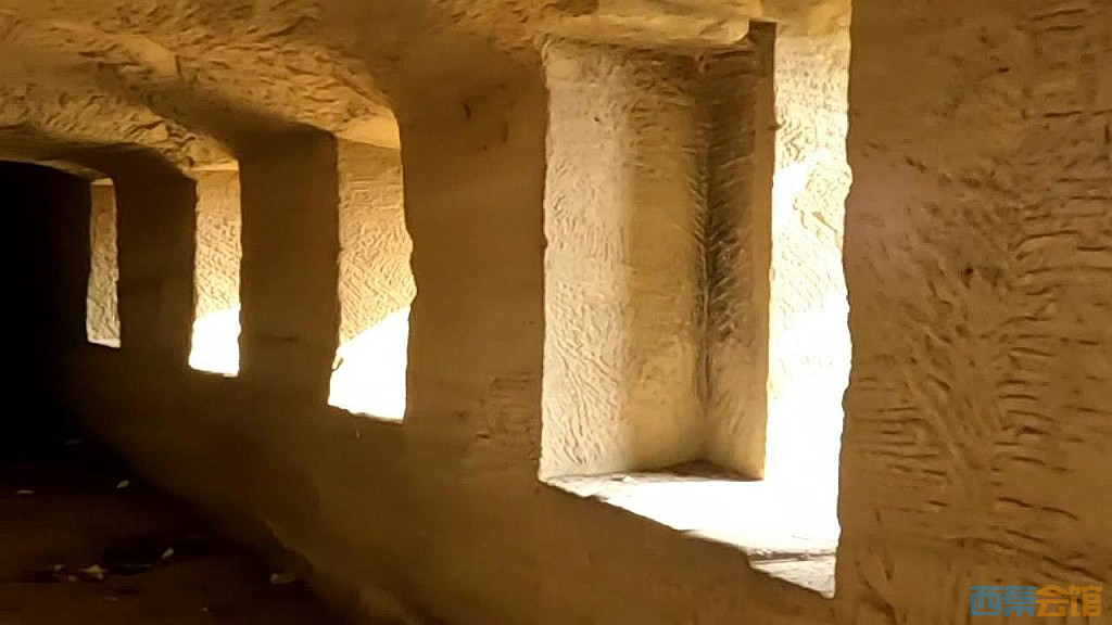 conew_snapshot(92).jpg