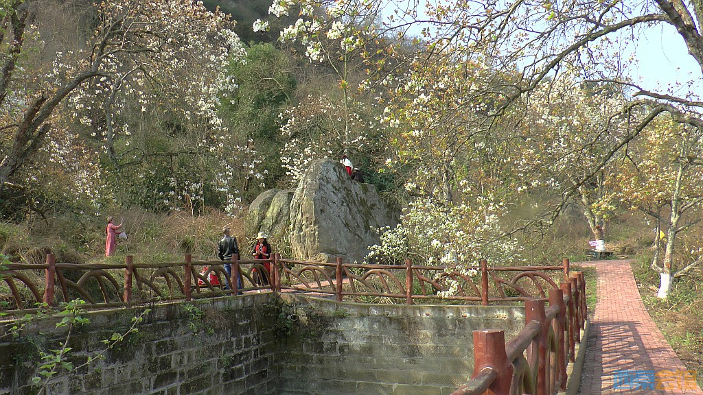 conew_s1570790.jpg