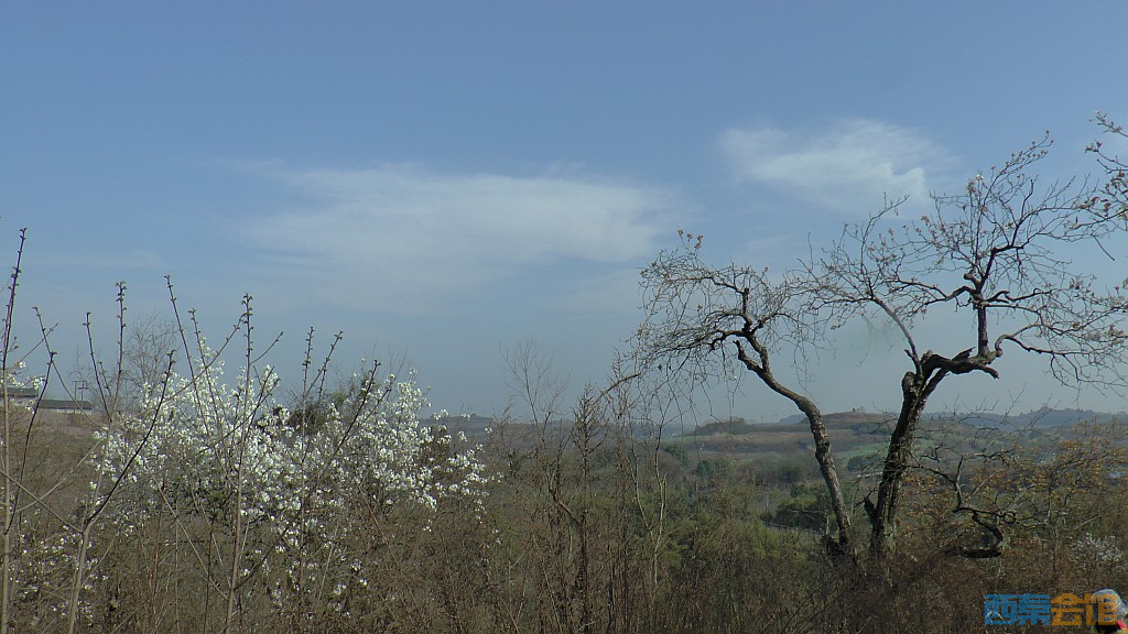 conew_s1570785.jpg