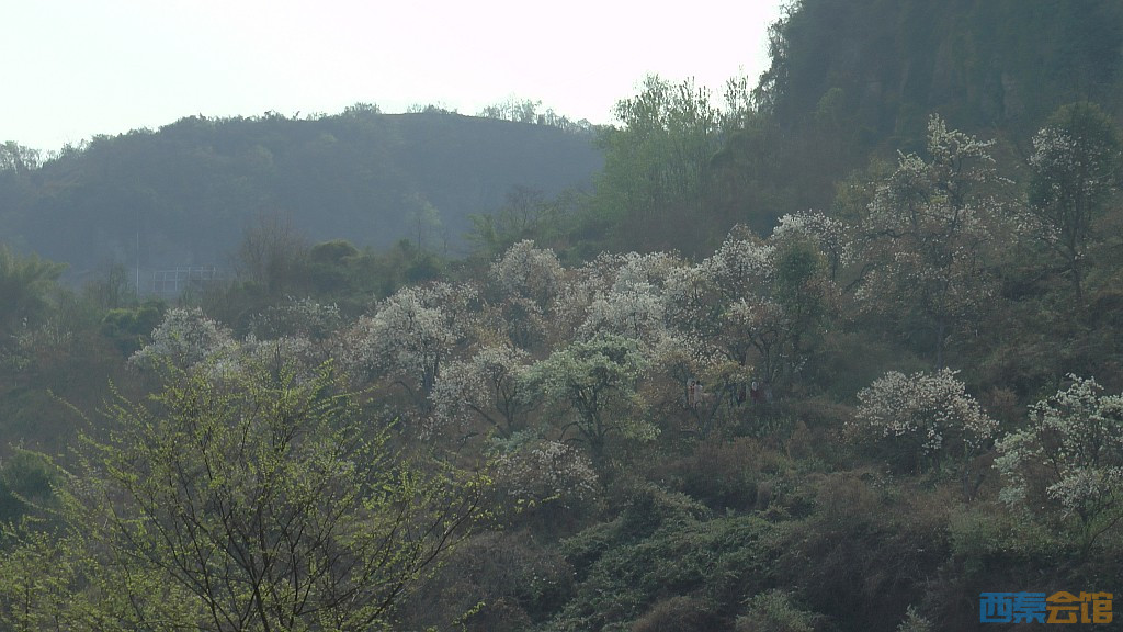 conew_s1570801.jpg