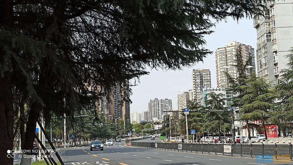 conew_1679027946152.jpg