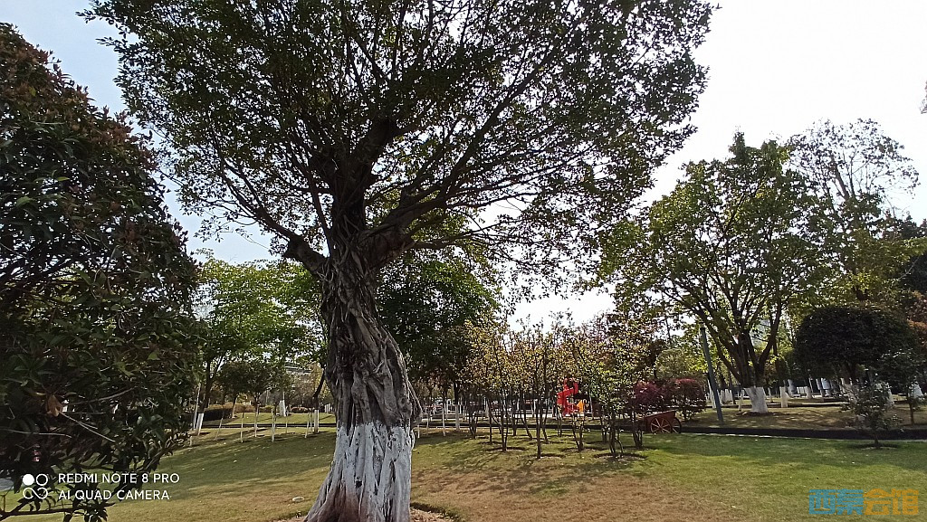 conew_1679027946765.jpg