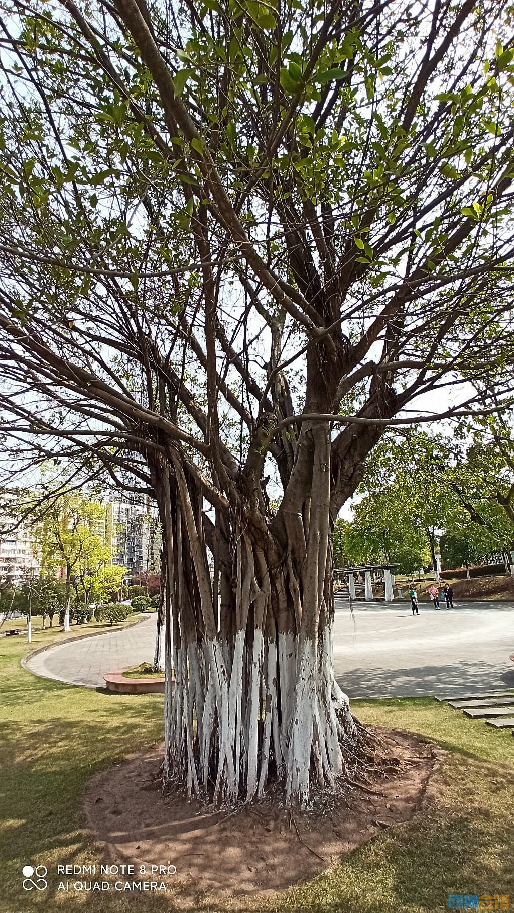 conew_1679027946753.jpg