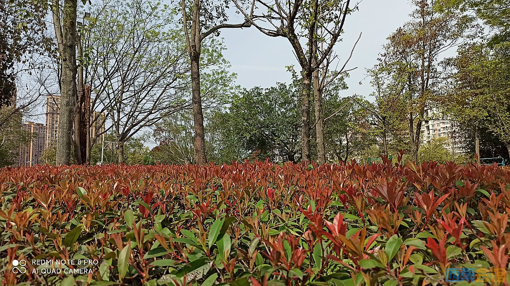 conew_1679027946880.jpg