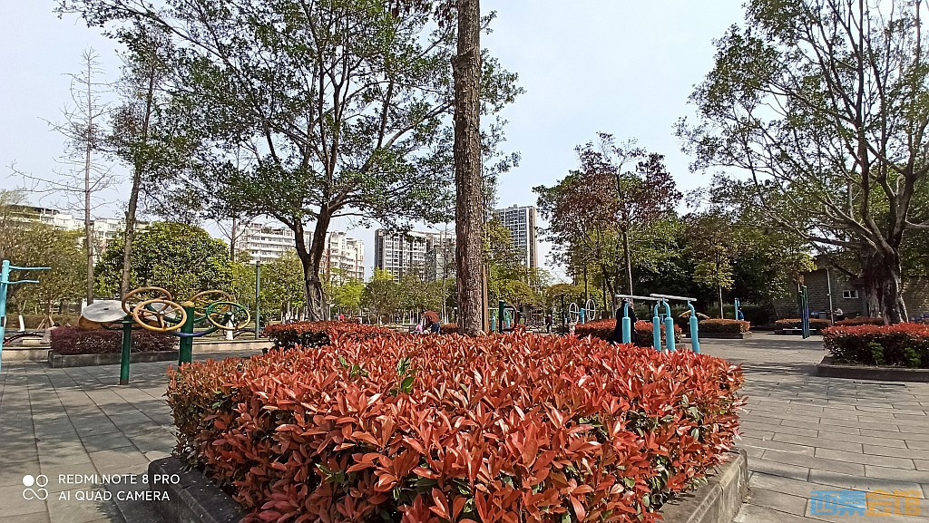 conew_1679027946828.jpg