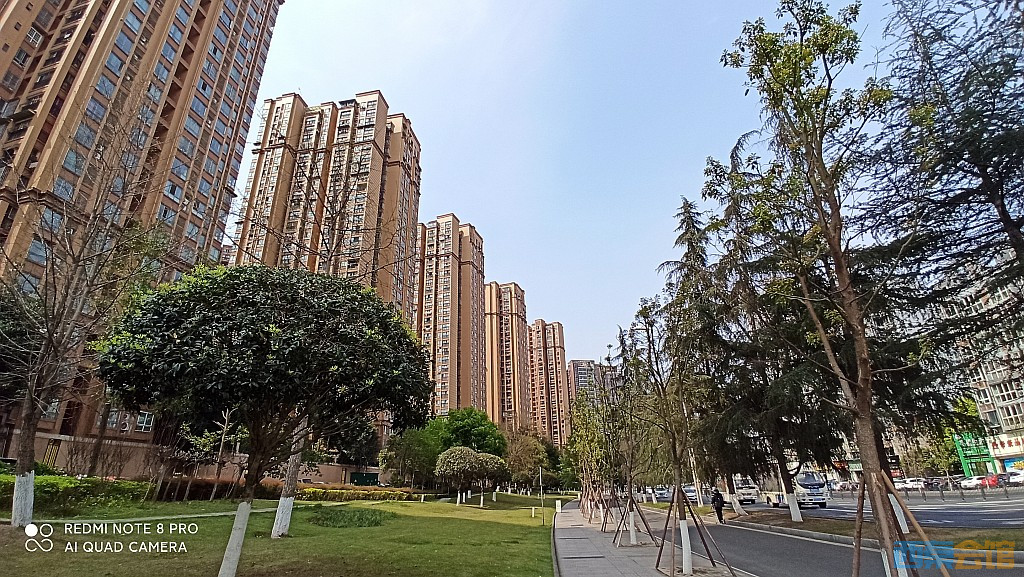 conew_1679027946206.jpg