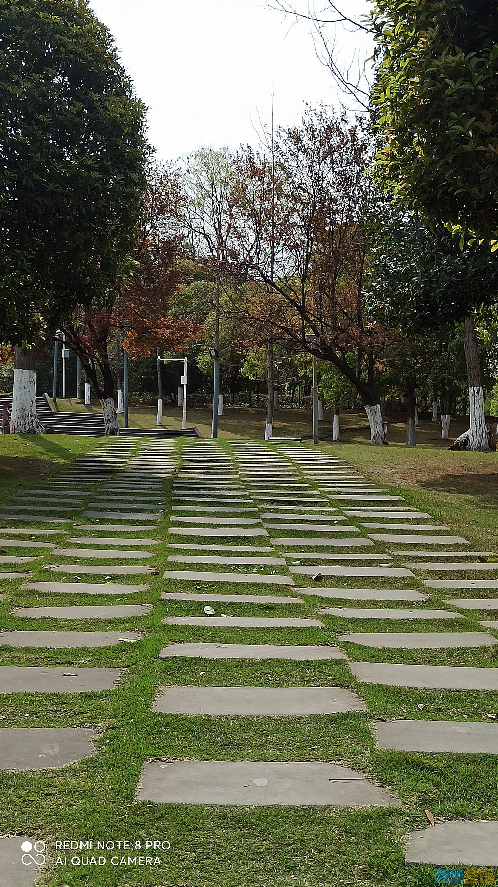 conew_1679027946358.jpg