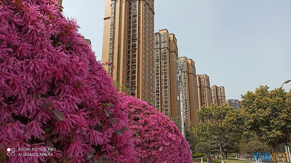 conew_1679027946259.jpg