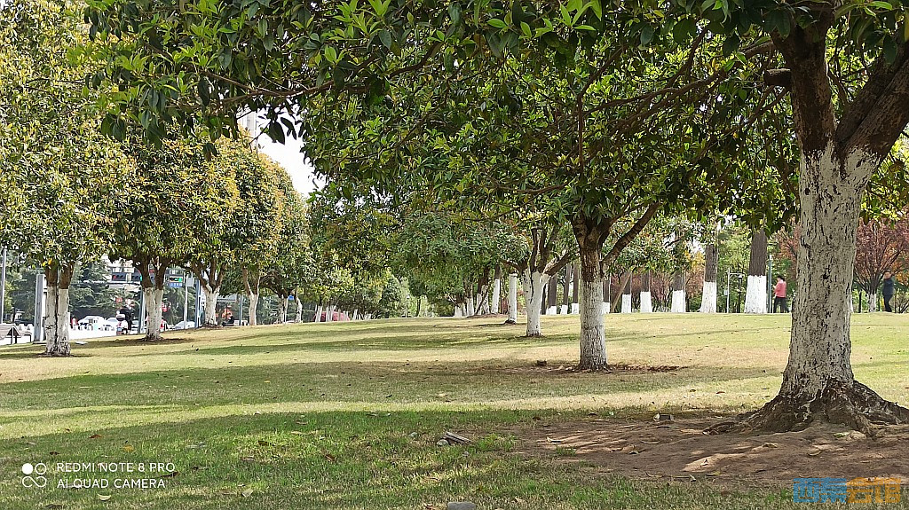 conew_1679027946600.jpg