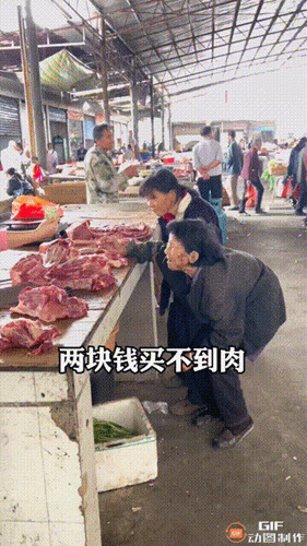 b291f7040acc4212831201ffad4aac11.gif